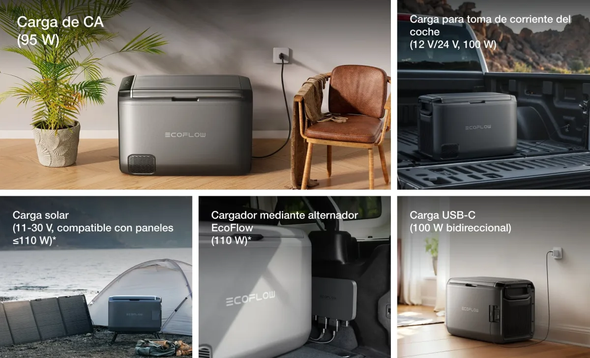 13_1_img_08e46719-ed78-4531-bc80-451a668dcd76