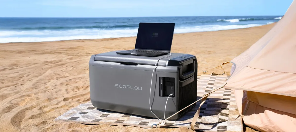 14_1_img_60dd3e40-2c6b-4d76-93bd-dcaaca35e510