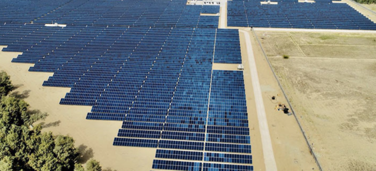 Amplio campo solar con paneles organizados, reflejando el avance hacia energías renovables.