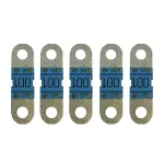 Fusible Victron MIDI-fuse 100A/58V-M6 (paquete de 5)