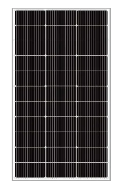 Ps 100m Sin Fondo.webp