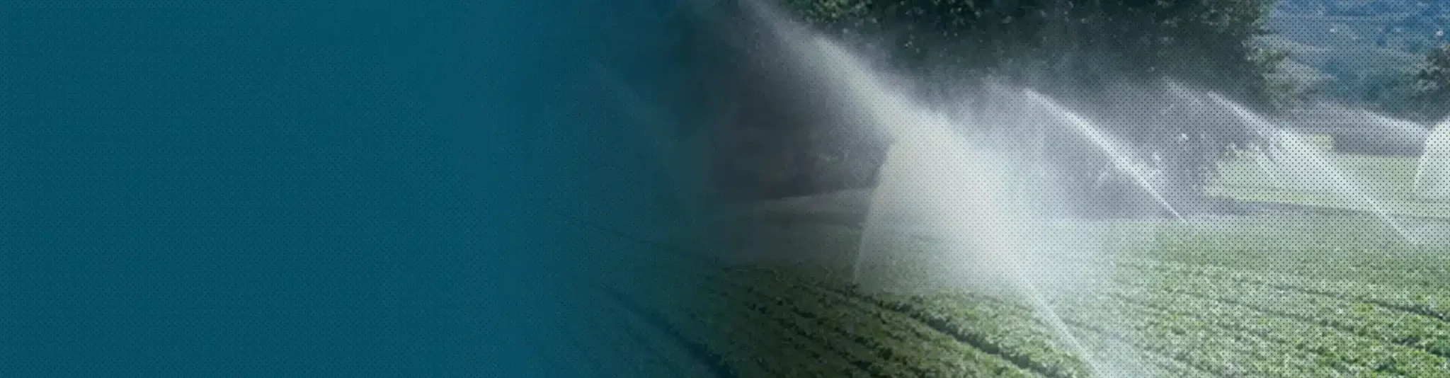 Fondo Mizu Scaled1.webp