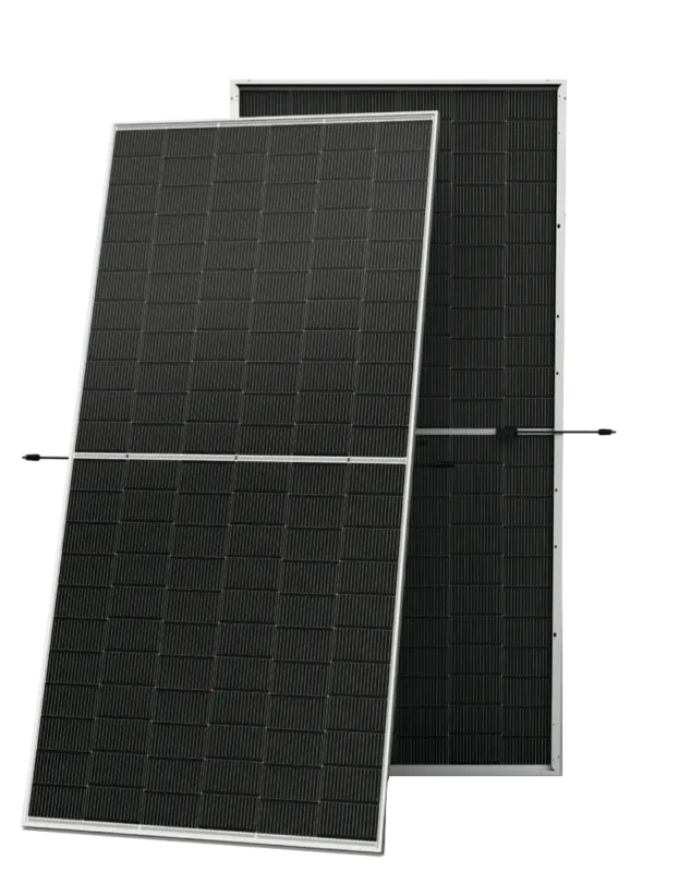 Neg19rc.20 Sin Fondo.webp