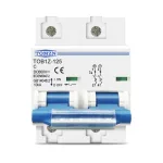 Interruptor Termomagnetico de Corriente Continua 600Vcc - 2P 100A