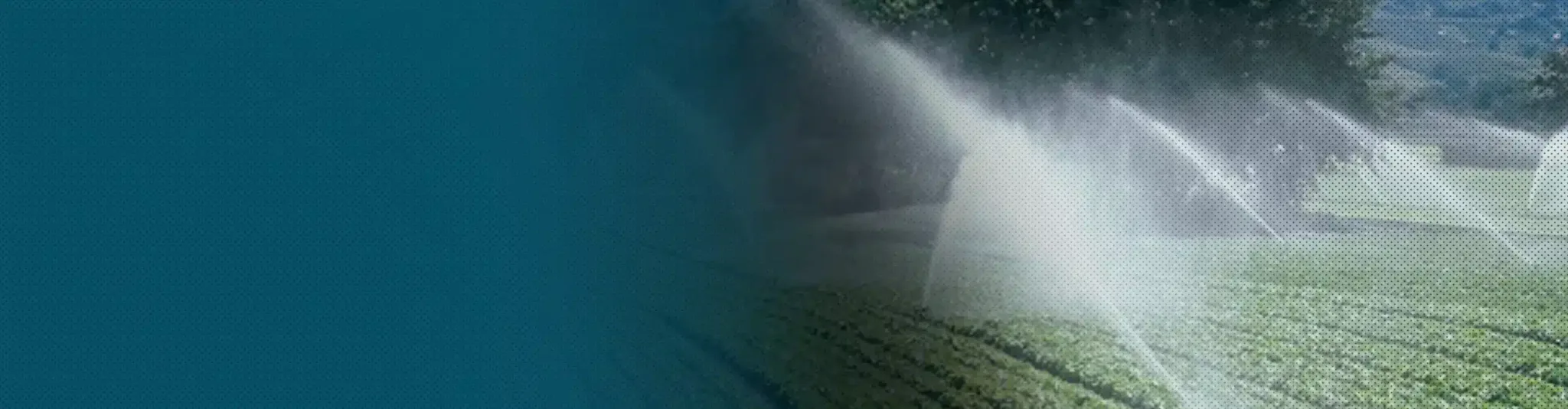 Fondo Mizu Scaled1.webp