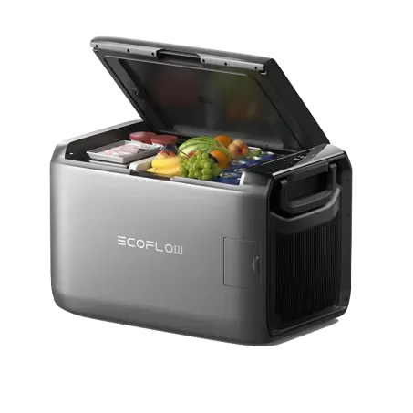Nevera portátil con alimentos y bebidas