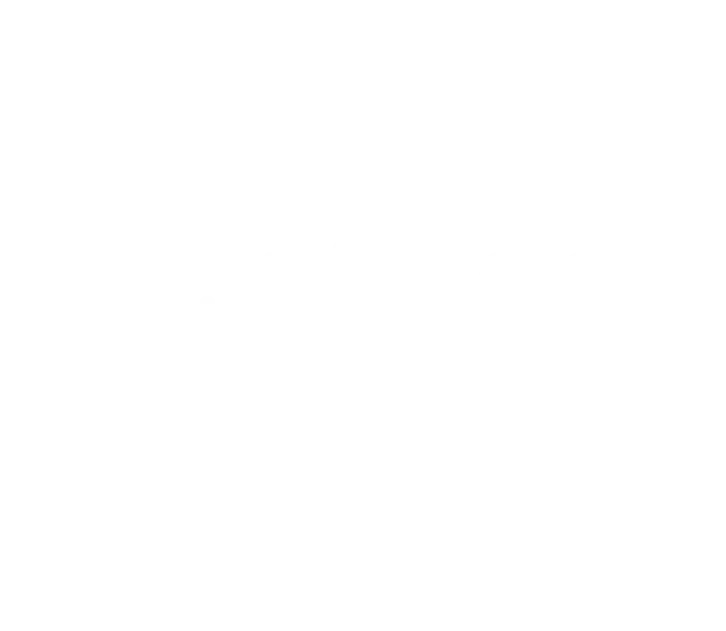 Logo de Victron Energy en blanco