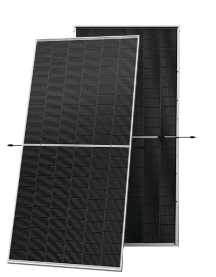 Neg19rc.20 Sin Fondo