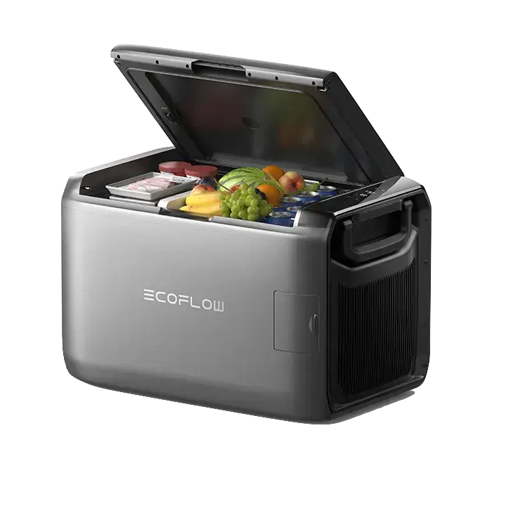 Nevera portátil con alimentos y bebidas